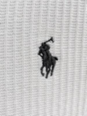 wholesale quality men ralph lauren polo shirts model no. 2809